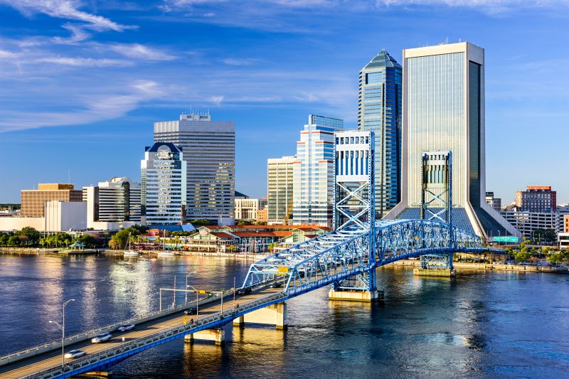 Fleas And Ticks Control in Jacksonville, FL