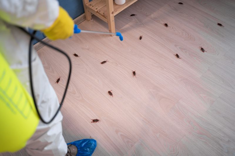 Roach Control