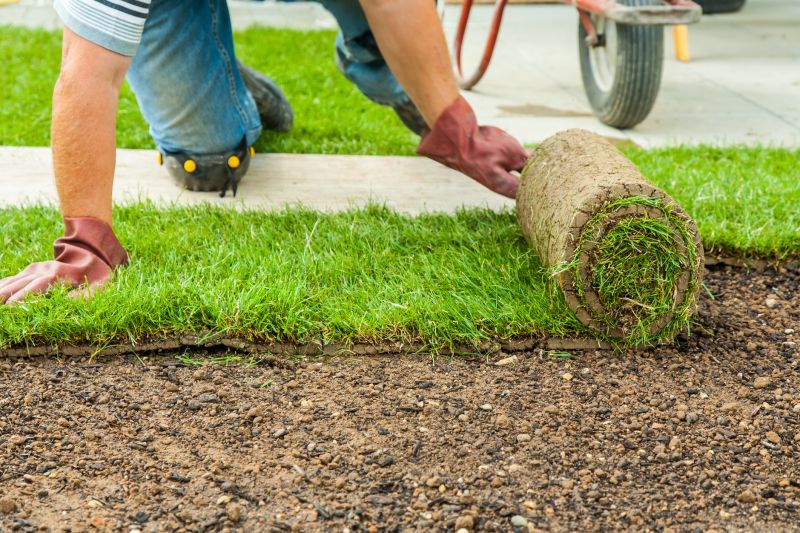 Fresh Sod For A Beautiful Lawn