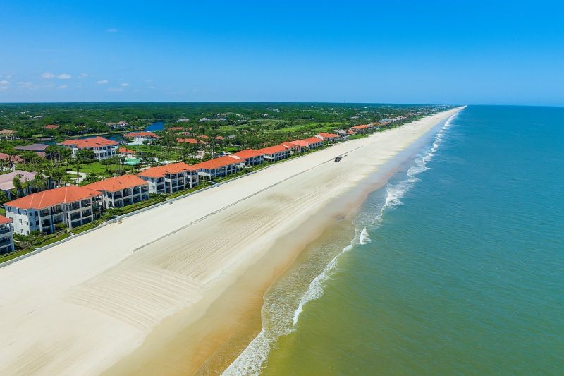 Yellow Jacket Pest Control in Ponte Vedra Beach, FL