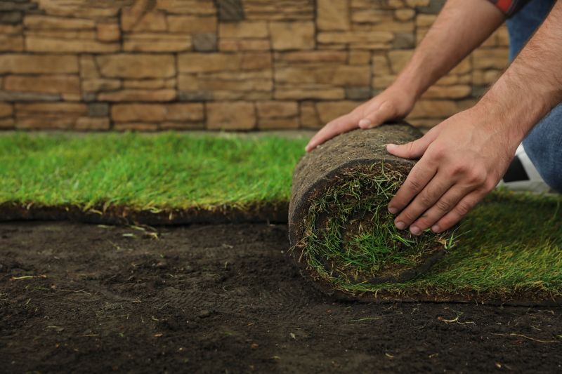Fresh Sod For A Beautiful Lawn
