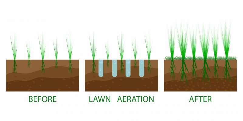 Lawn Aerating In Jacksonville