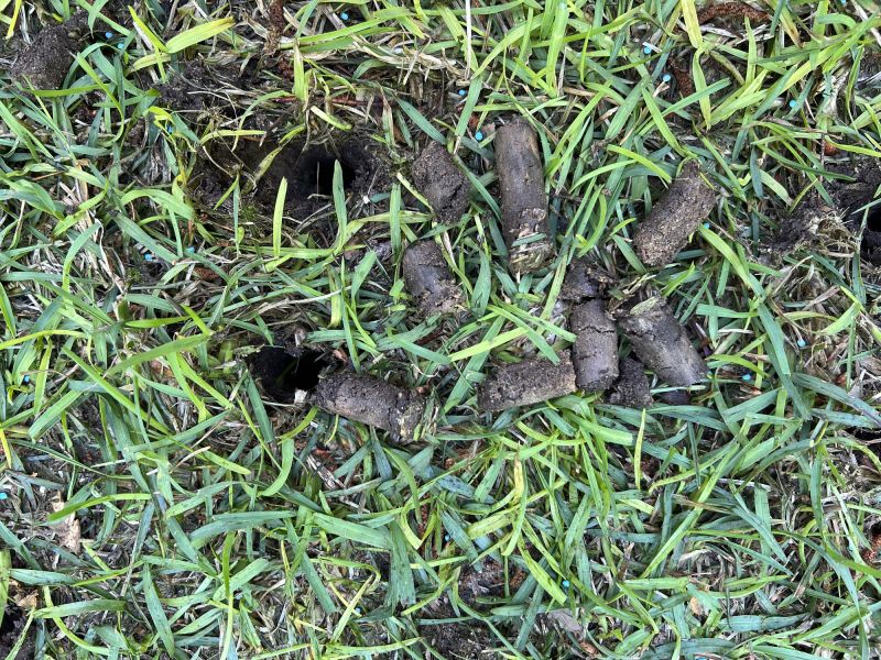 Lawn Aerating In Jacksonville