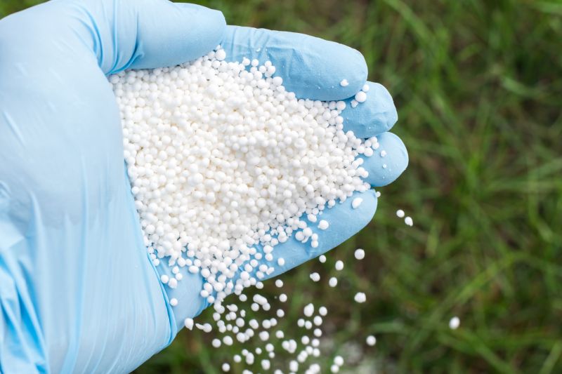 Lawn Fertilizing