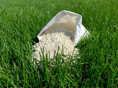 Lawn Fertilizing