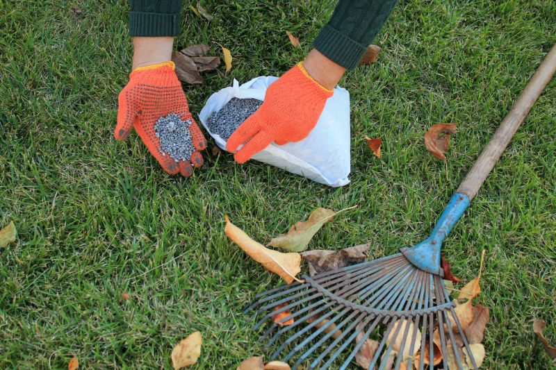 Lawn Fertilizing