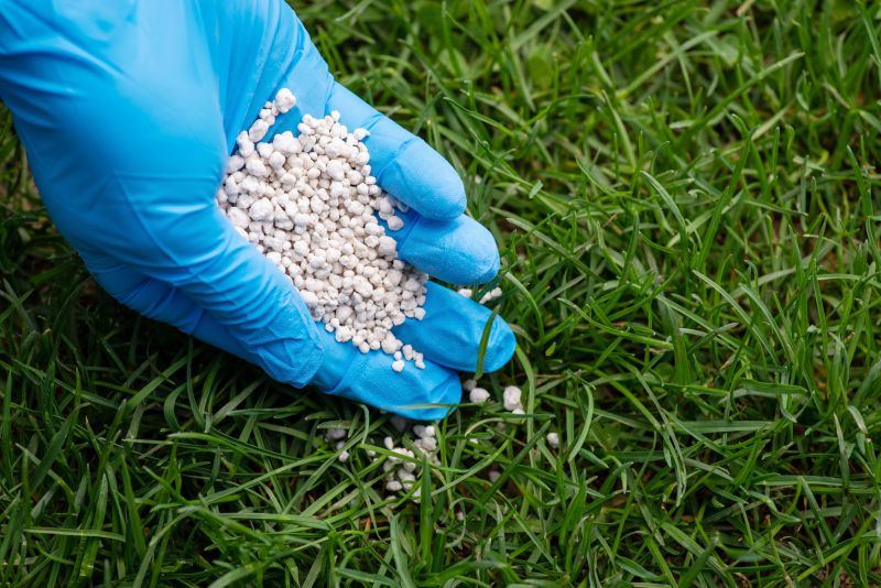 Lawn Fertilizing