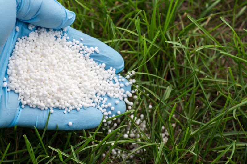 Lawn Fertilizing