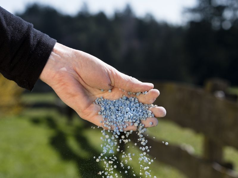 Lawn Fertilizing
