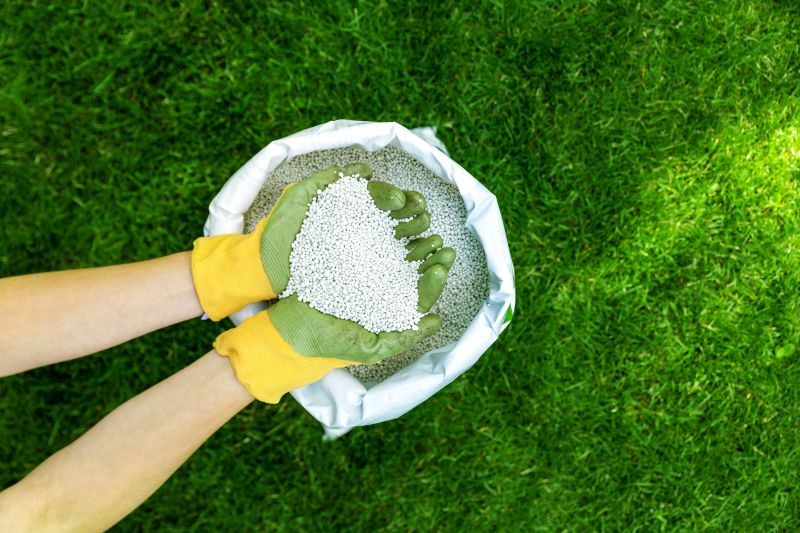 Lawn Fertilizing