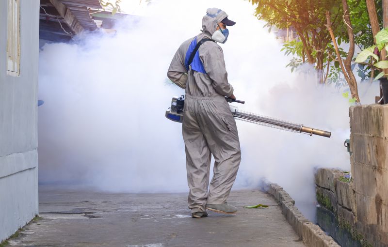 Mosquito Pest Control