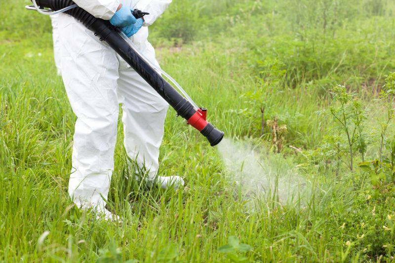 Prevent Weeds Before They Spread