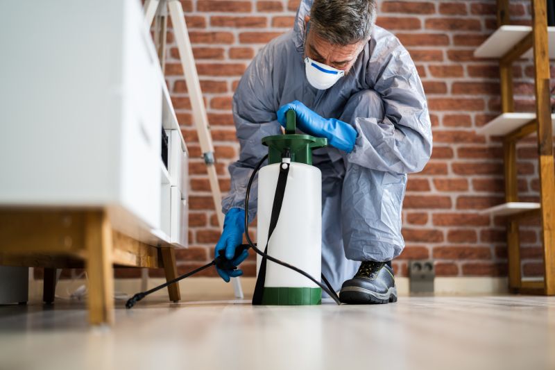 Professional Hornet Removal