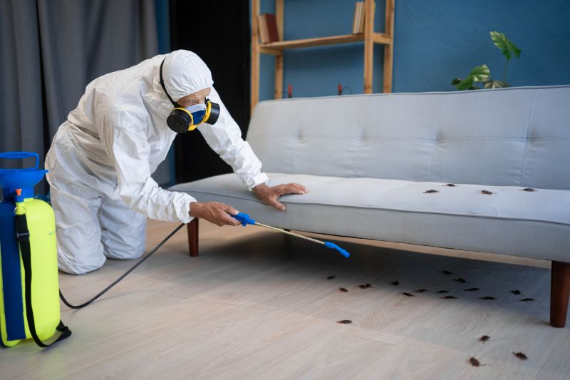 Roach Control