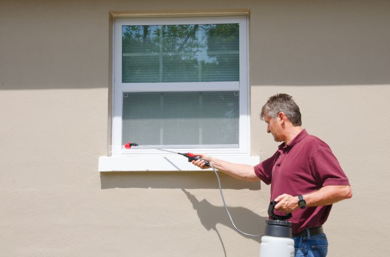 Spider Pest Control