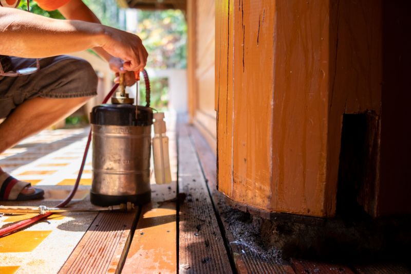 Termite Pest Control