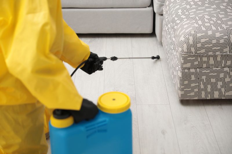 Yellow Jacket Pest Control