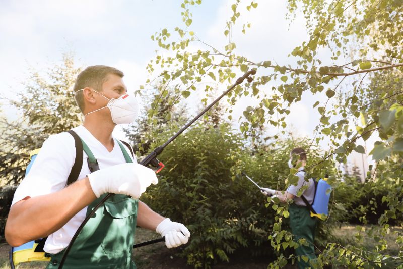 Yellow Jacket Pest Control